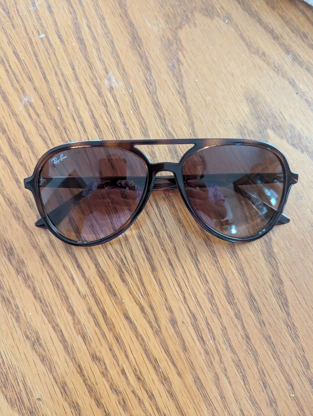 Ray-Ban Brown Frame Sunglasses with Brown Gradient Lenses